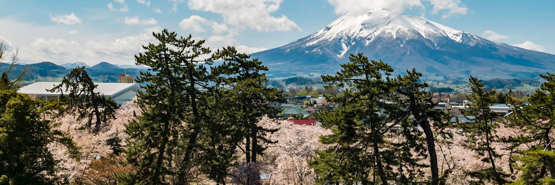 Mount Iwaki, Tohoku