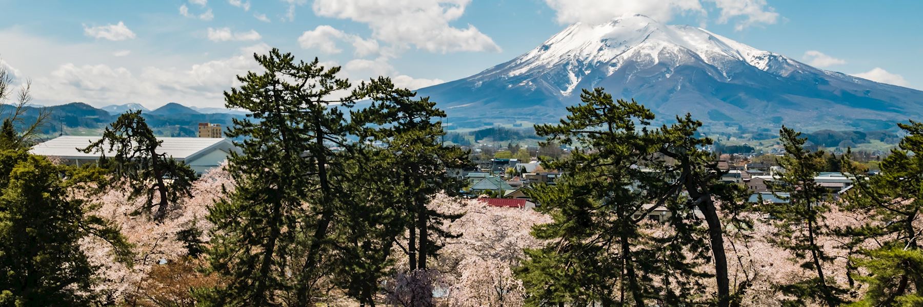 Visit Tohoku on a trip to Japan | Audley Travel