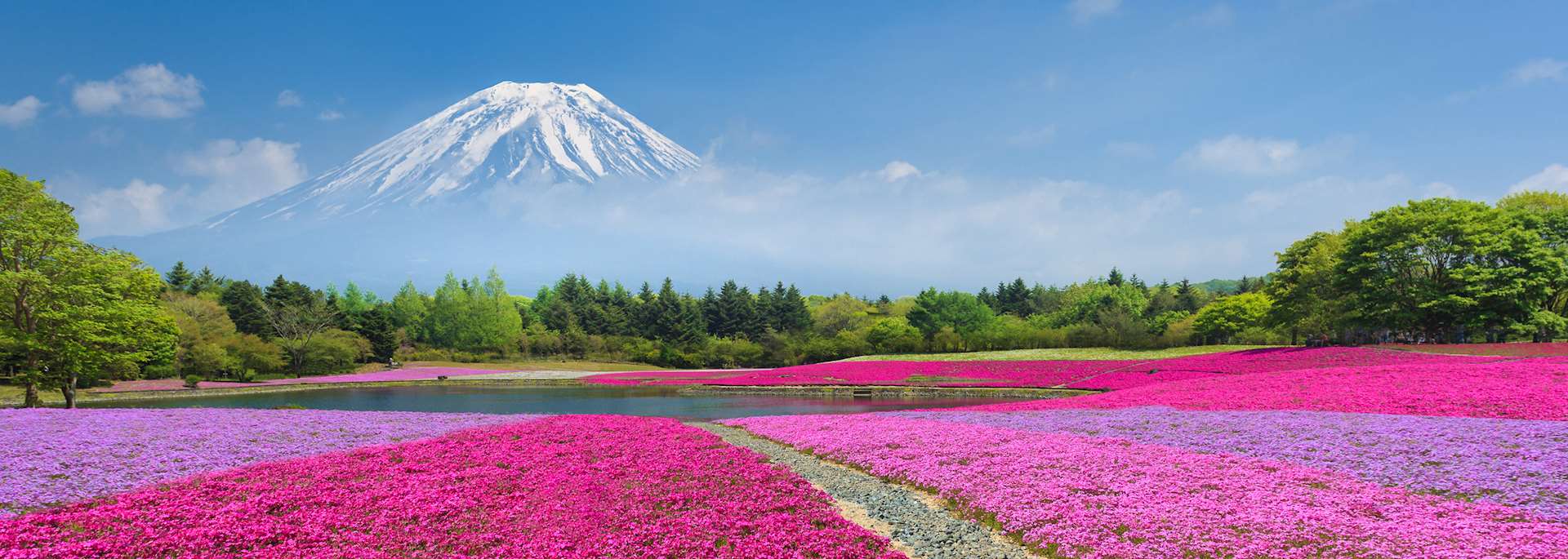 Mt Fuji, Japan