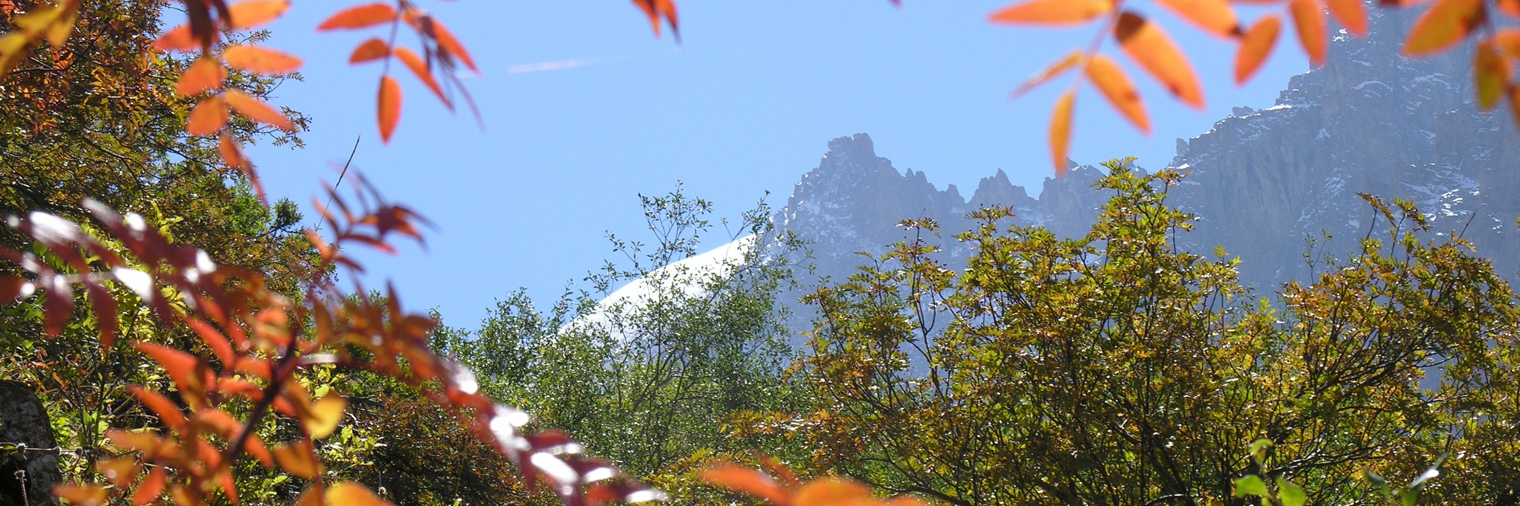 Hike Ala Archa State Nature Park | Kyrgyzstan | Audley Travel UK