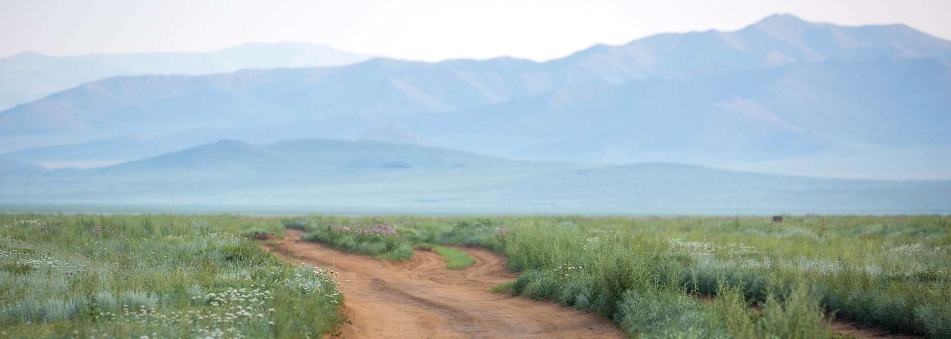 Khustain Nuruu National Park