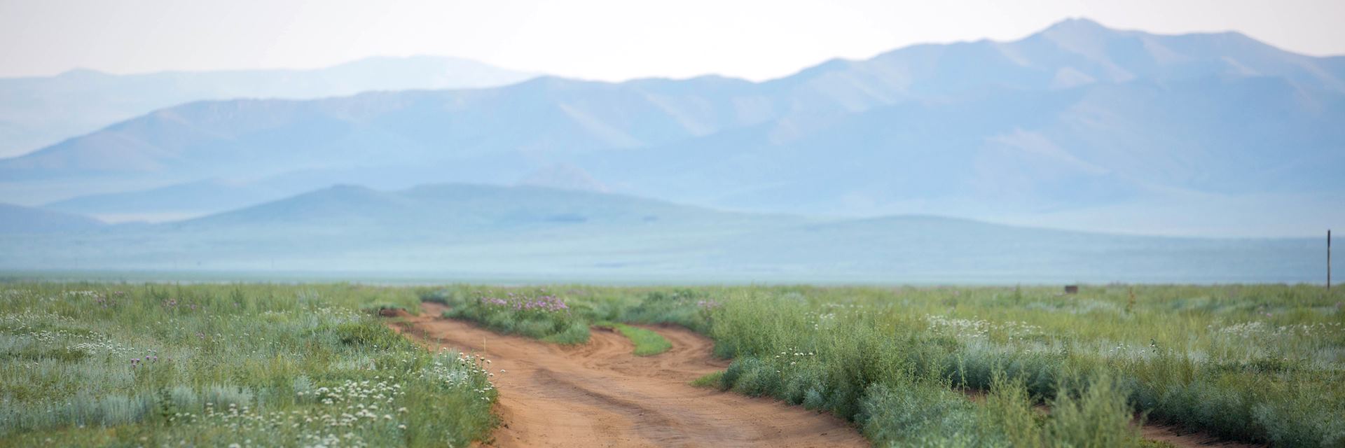 Khustain Nuruu National Park