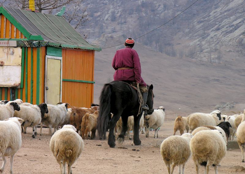 Terelj National Park
