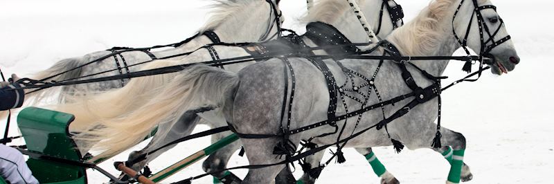 Troika (a traditional three-horse sleigh)