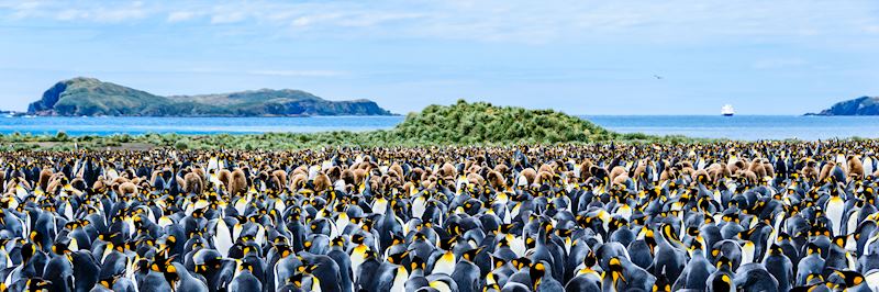South Georgia