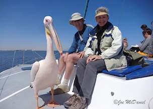 Joe and Jan McDaniel
