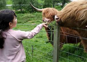 Marla Monro's family in Scotland