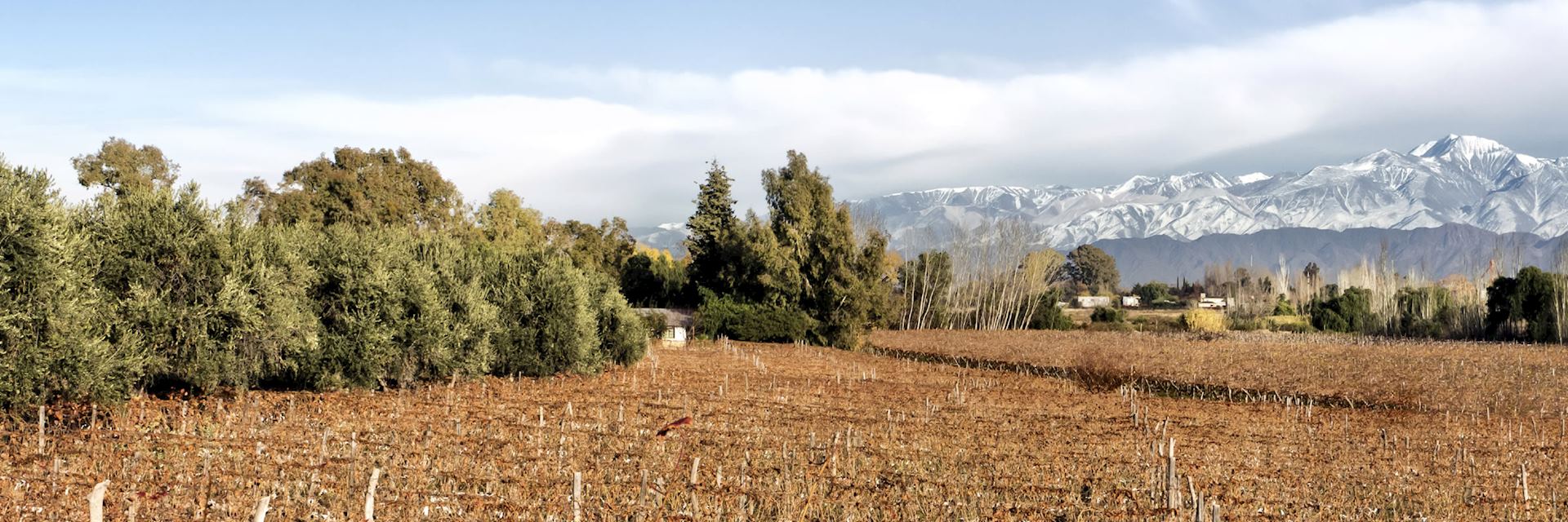 Mendoza Province in Argentina in Autumn