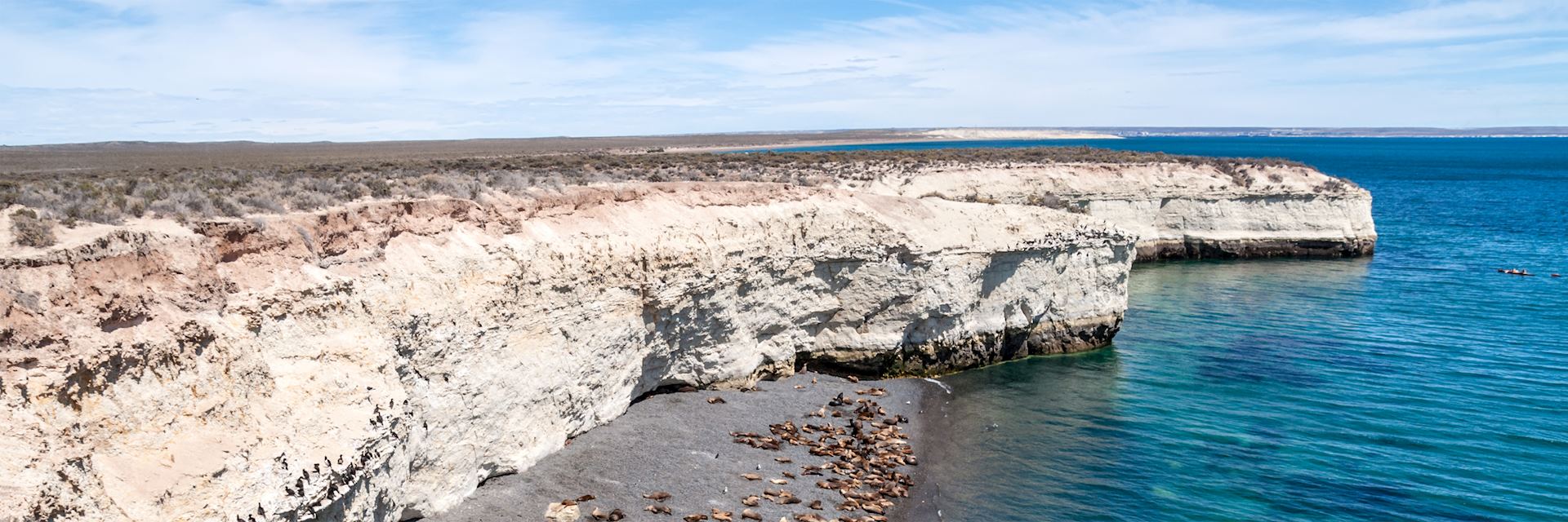 Sea lions on a beach near Puerto Madryn