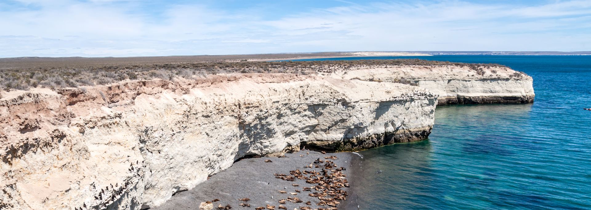 Sea lions on a beach near Puerto Madryn