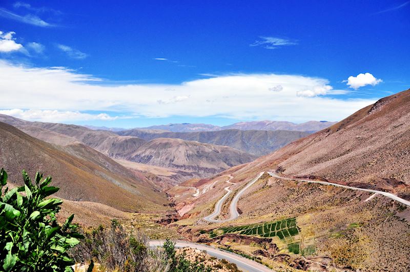 Deserted road, Salta region
