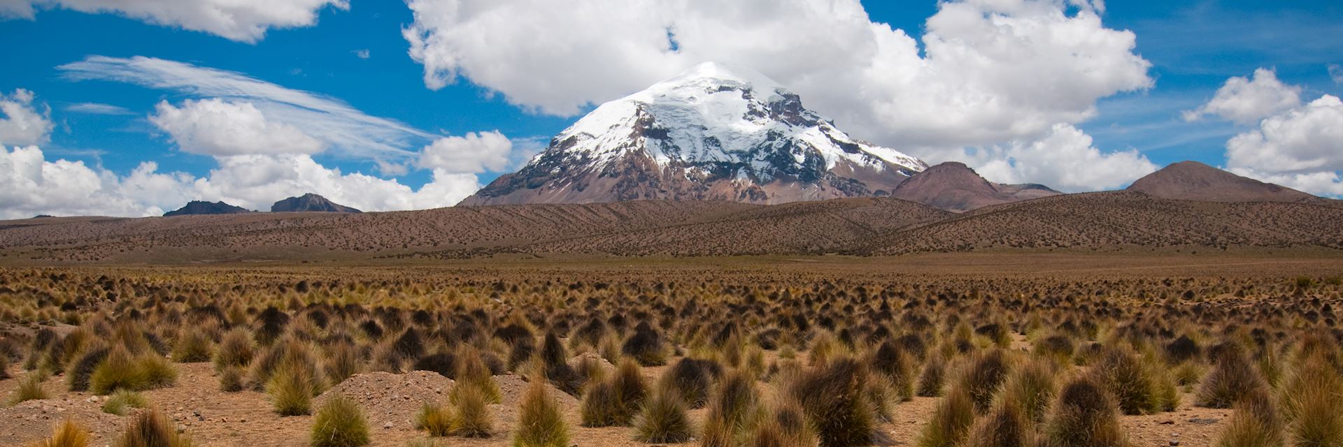 Sajama National Park