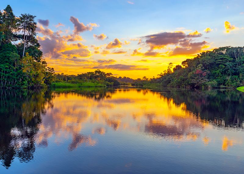 Brazilian Amazon