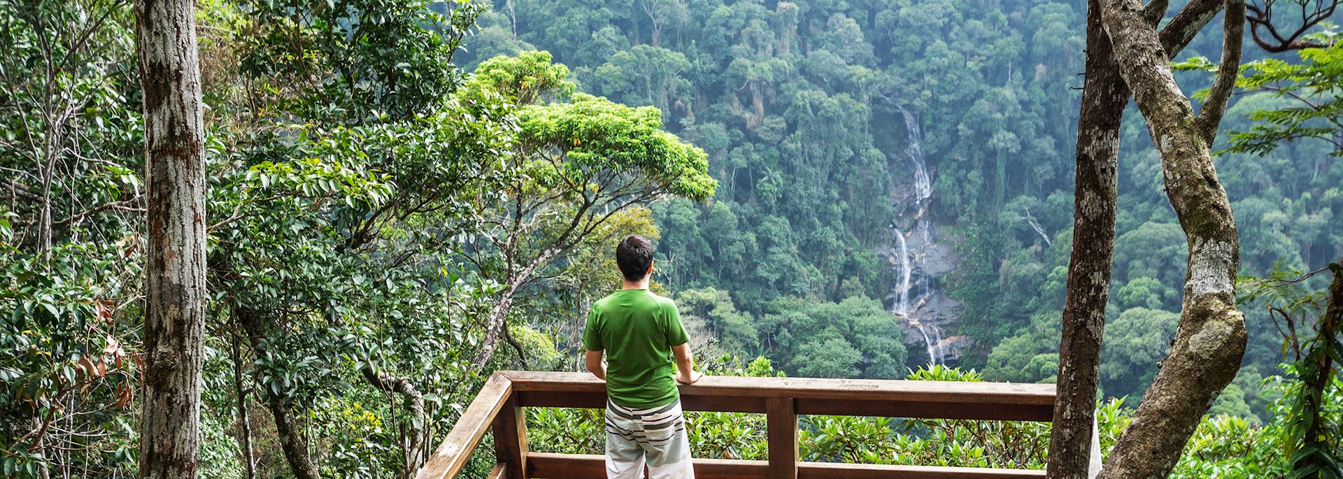 Tijuca Forest, Rio de Janeiro
