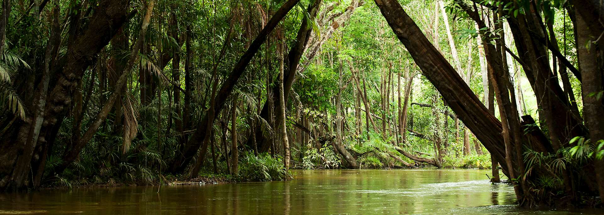 Creek in the Brazilian Amazon