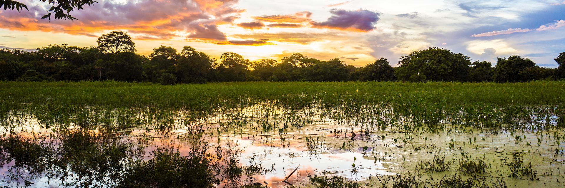 The Pantanal at sunset