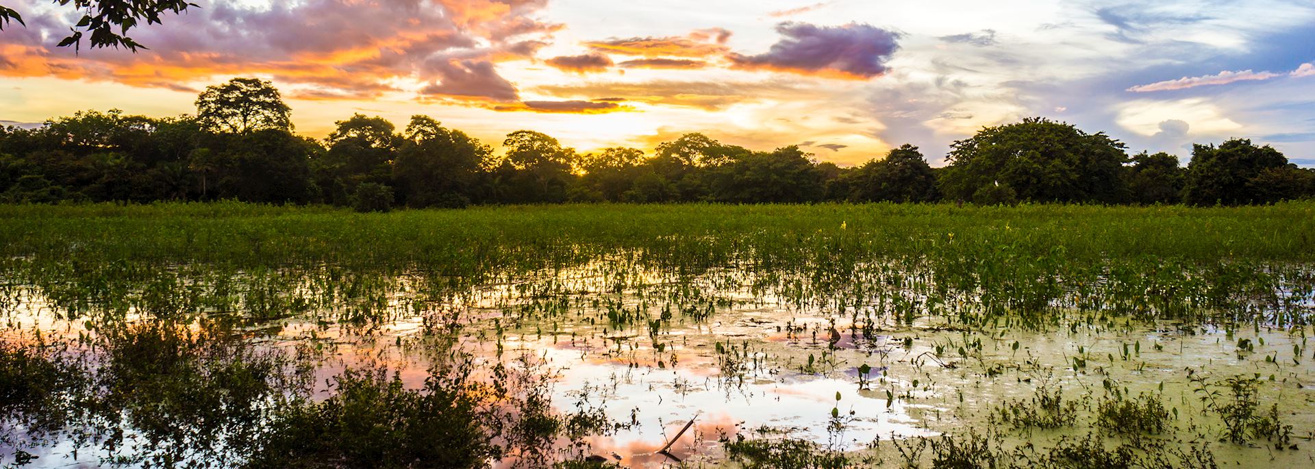 The Pantanal at sunset