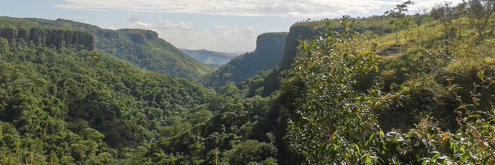 Chapada dos Guimaraes, Brazil