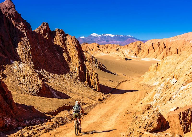 Mountain biking in the Atacama