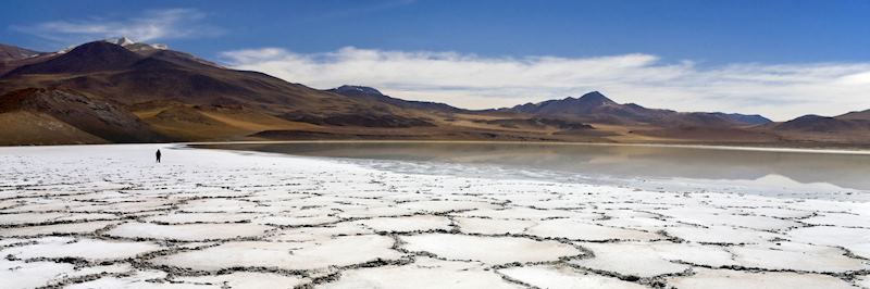 Salt flats created by the Tuyajto Lagoon in the Atacama Desert