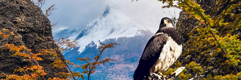Torres del Paine National Park