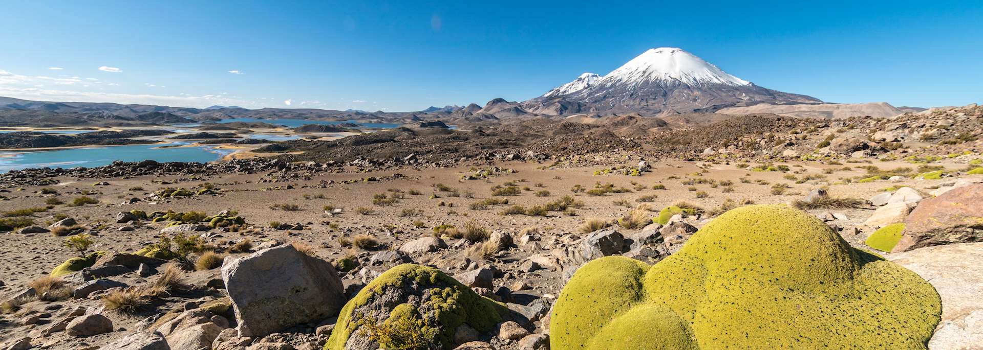 Lauca National Park