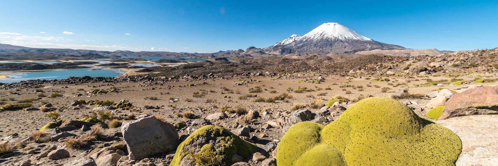 Lauca National Park