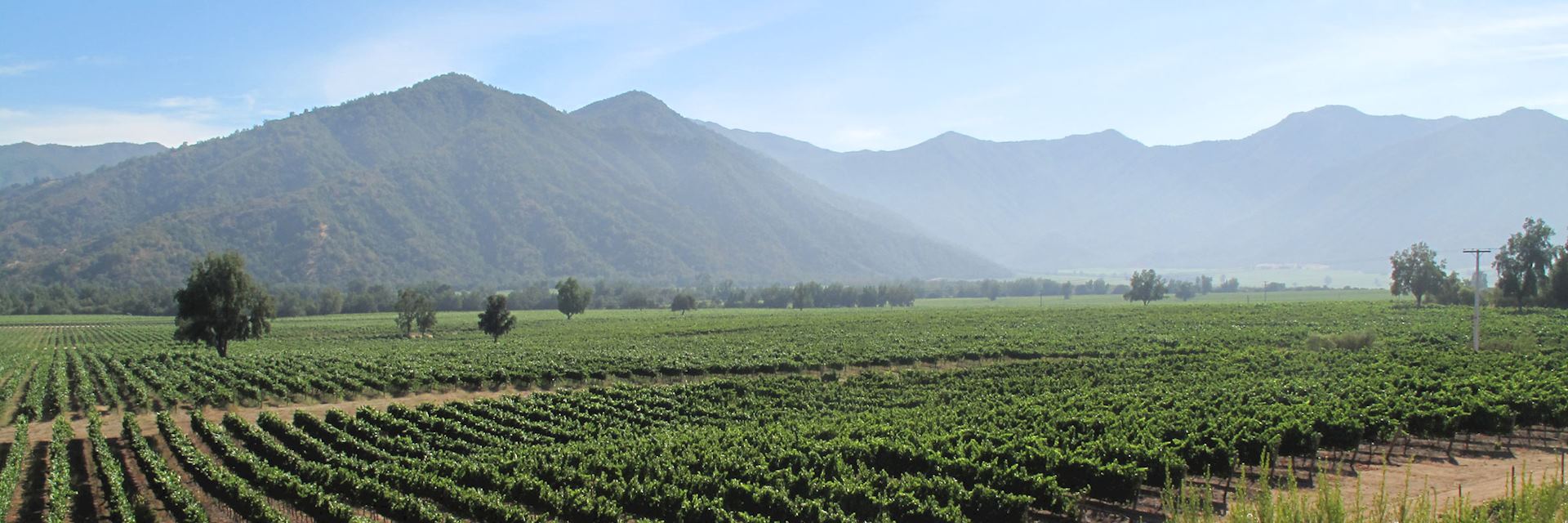 Casablanca Valley