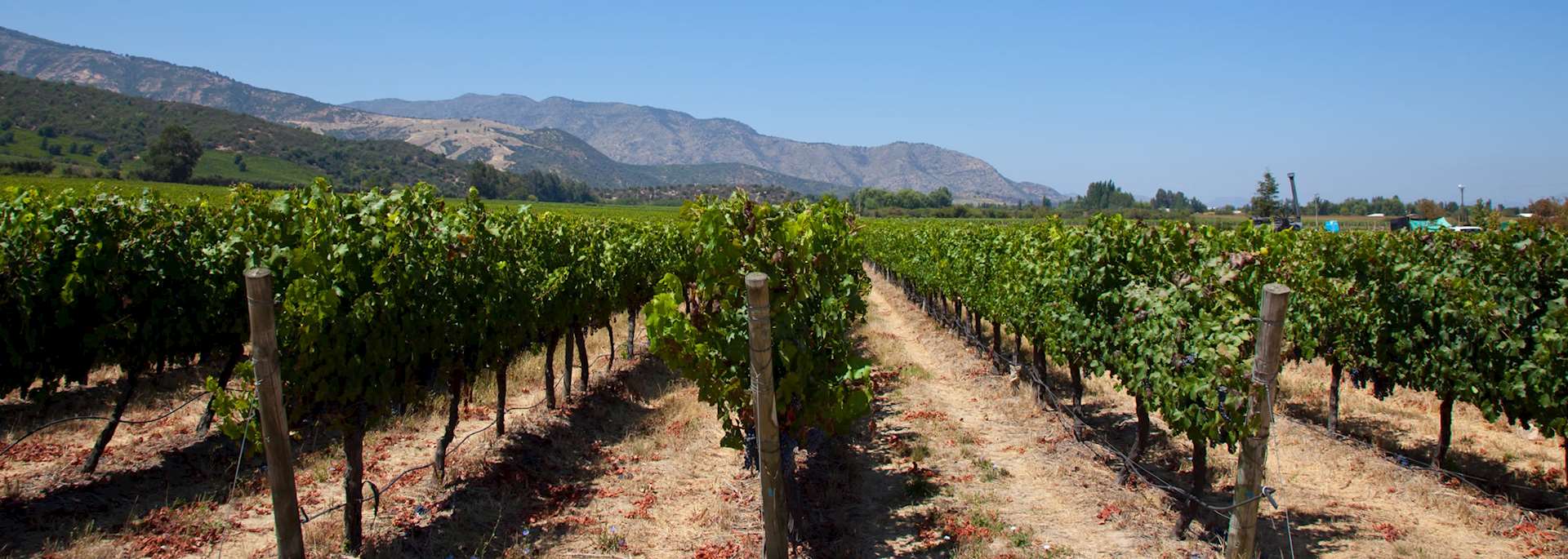 Colchagua Valley