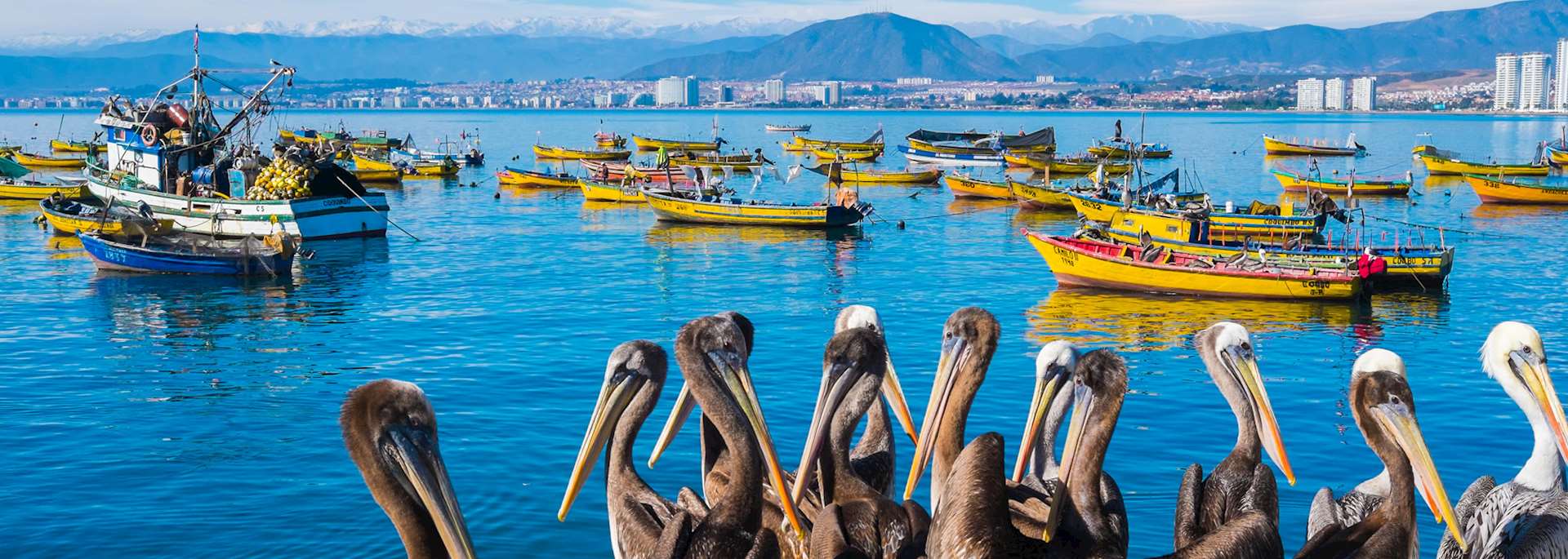 La Serena