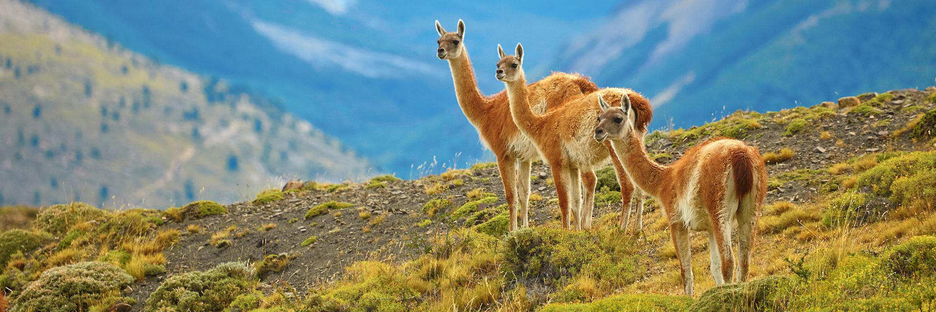 Torres del Paine National Park - Explora Conservation Reserves