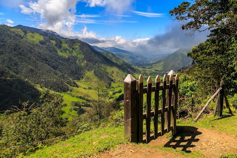 Cocora Valley