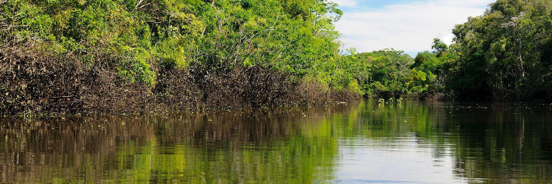 Amazon River, Colombia