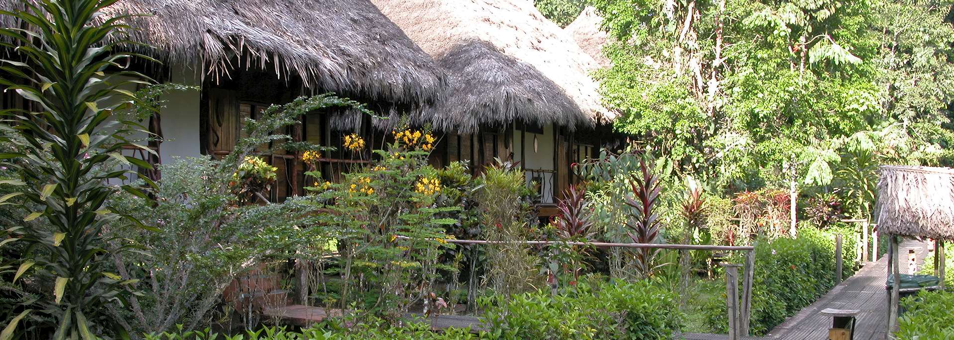 Sacha Lodge