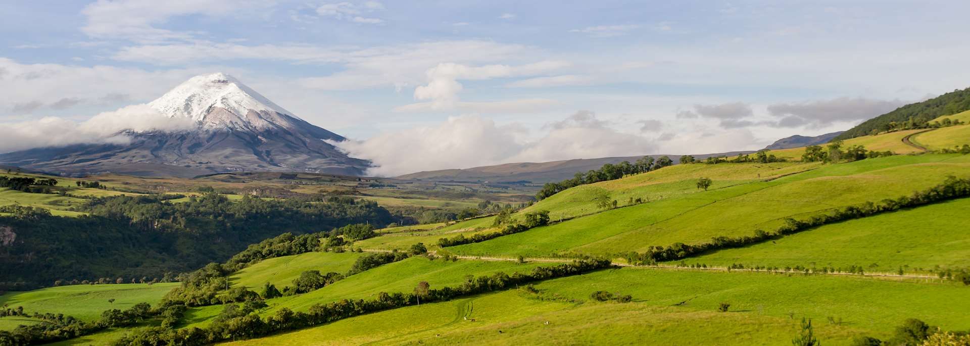 Cotopaxi National Park