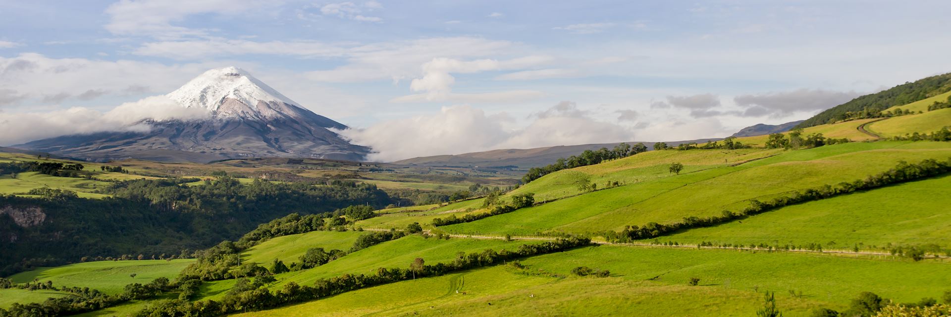 Cotopaxi National Park