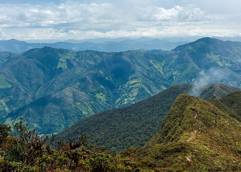 Podocarpus National Park