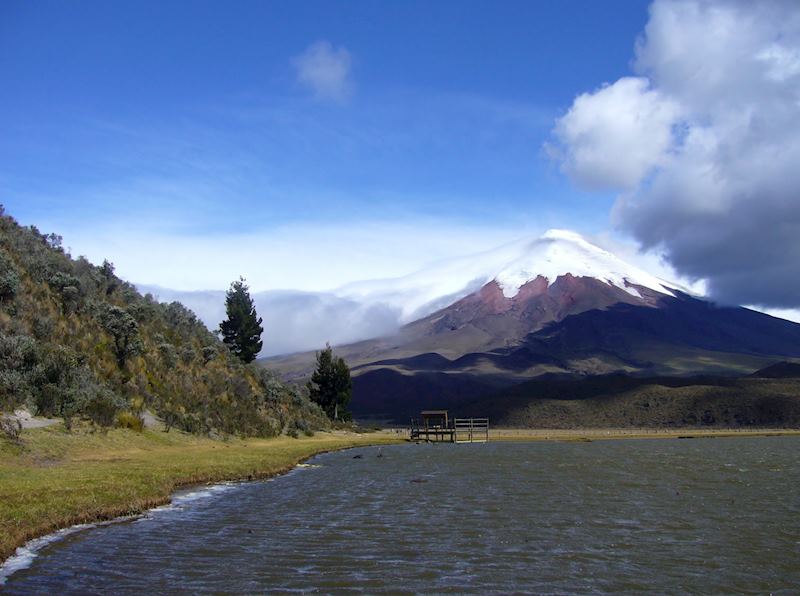 Cotopaxi National Park