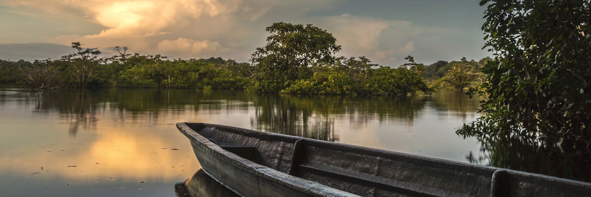 The Amazonian rainforest in Ecuador
