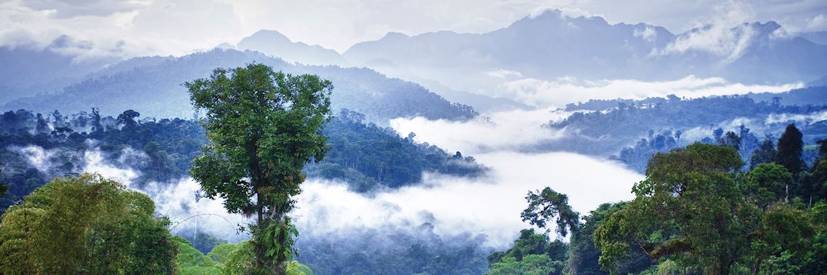 Mountains and rainforest in Ecuador