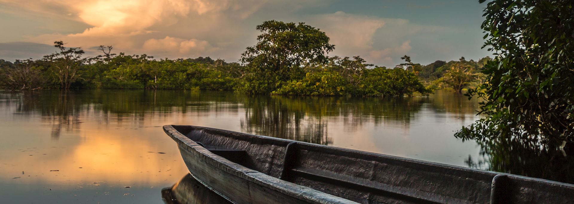 The Amazon Rainforest, Ecuador