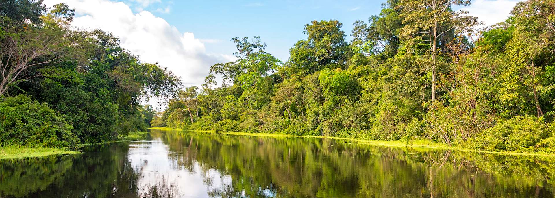 The Peruvian Amazon