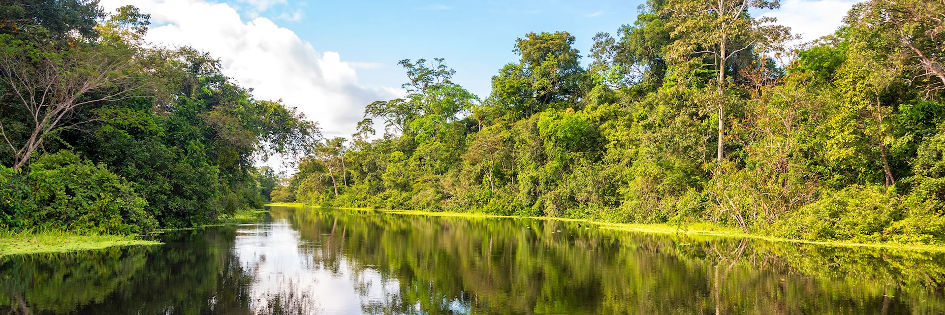 The Peruvian Amazon