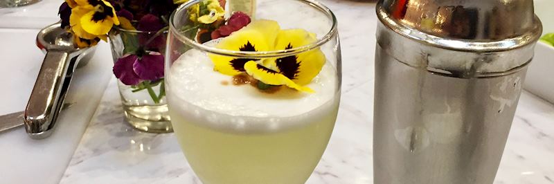 Pisco sour cocktail