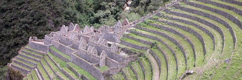 Wiñay Wayna on the KM104 Trail