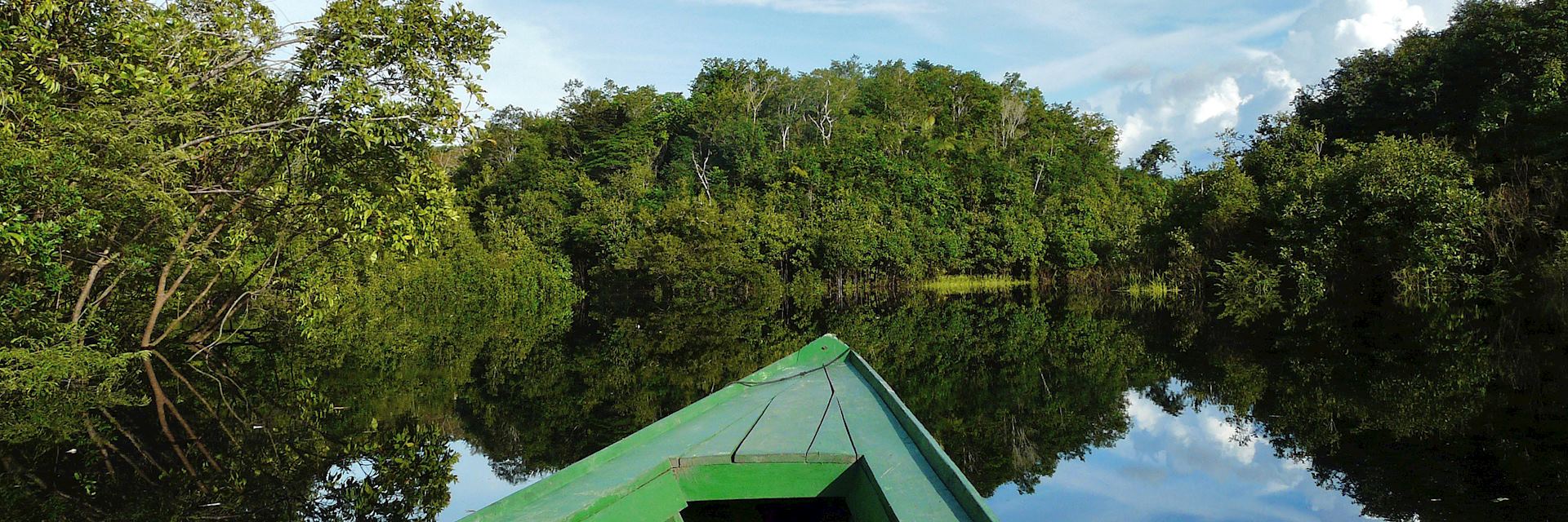 Sailing through the Amazon Rainforest