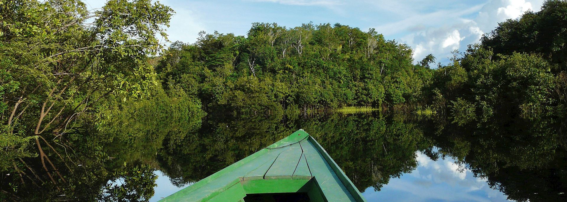 Sailing through the Amazon Rainforest