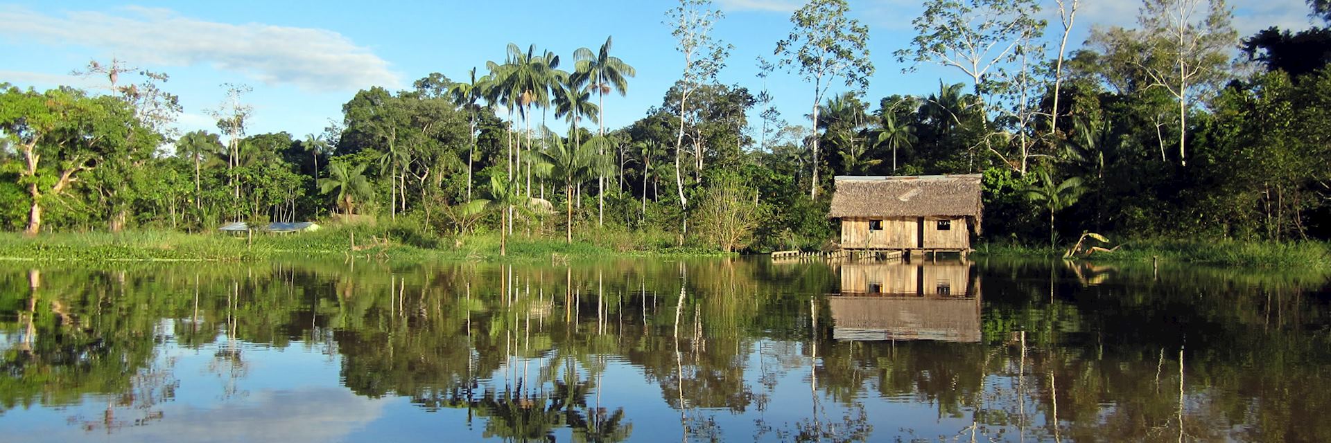 Peruvian Amazon