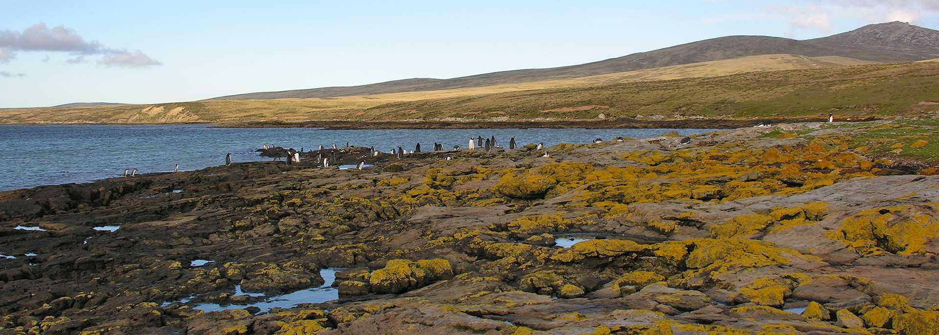Gladstone Bay near Port Howard
