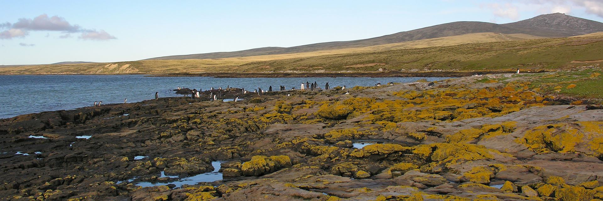 Gladstone Bay near Port Howard